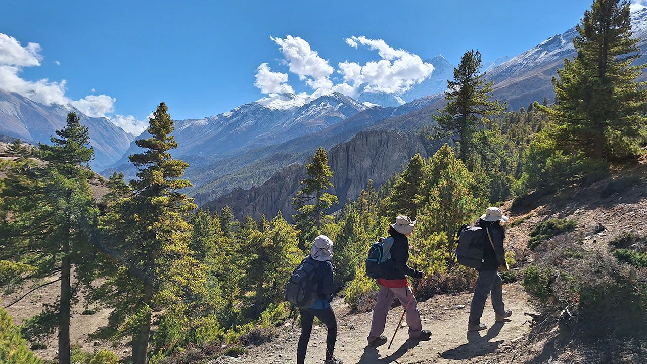 Everest Details 5