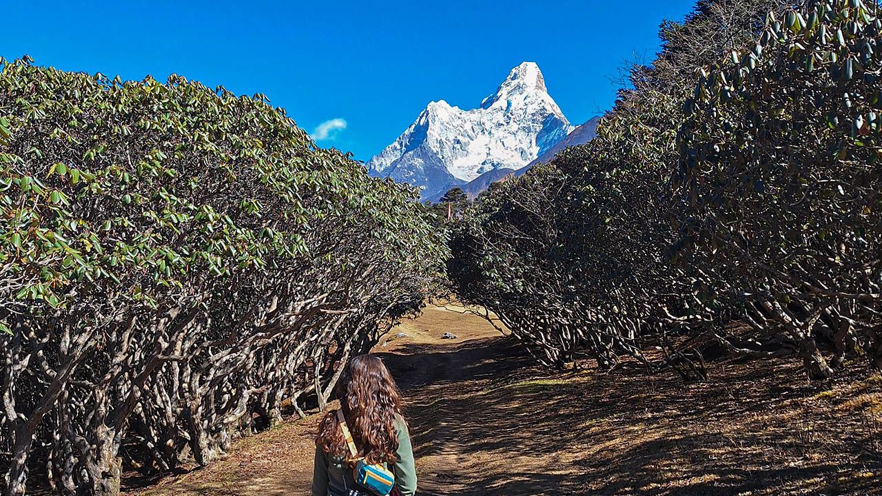 Everest Details 4